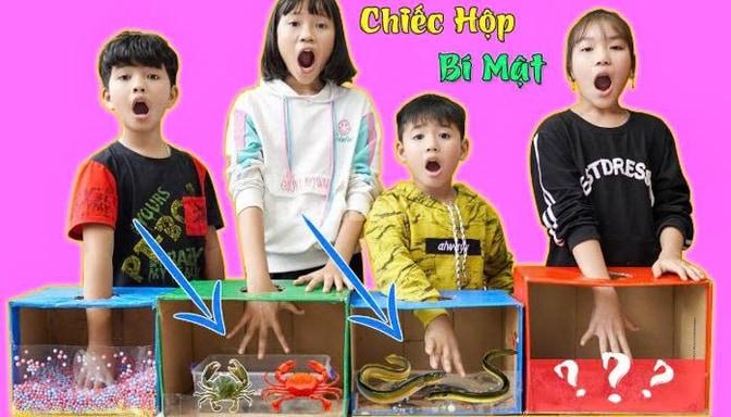 cho thuê chiếc hộp bí mật chiếc hộp và nhiều con thú  dụng cụ tổ chức 