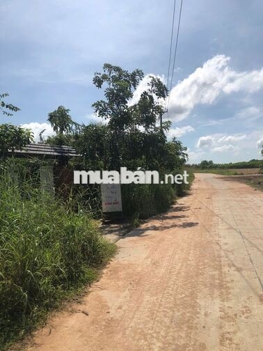 Bán 3hecta 150m mặt tiền đất vườn Tân Phúc - đường bê tông 6m