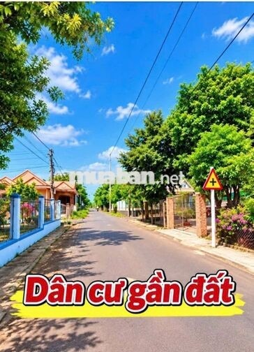 🔥 **594 TRIỆU SỞ HỮU ĐẤT NỀN BÌNH GIÃ – ĐƯỜNG NHỰA** 🔥