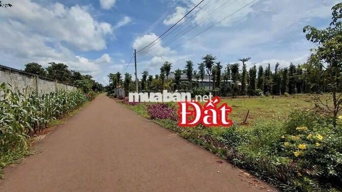 🔥 MỞ BÁN 5 NỀN ĐẤT KIM LONG – TP.HCM 🔥