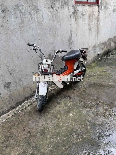 Honda Chaly màu Cam trắng