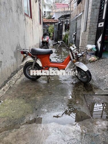 Honda Chaly màu Cam trắng