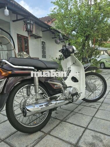 Honda Super Dream Nâu Đen Trắng Nhật Bản