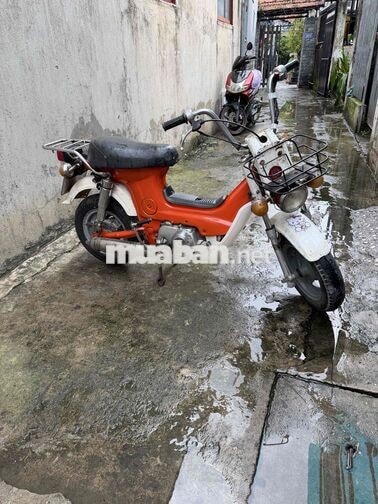 Honda Chaly màu Cam trắng