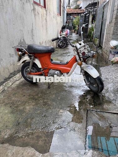 Honda Chaly màu Cam trắng