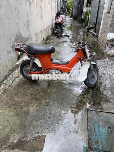 Honda Chaly màu Cam trắng