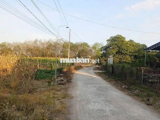 CẦN BÁN ĐẤT CHÍNH CHỦ 329M2 THỔ CƯ GIÁ 195TR