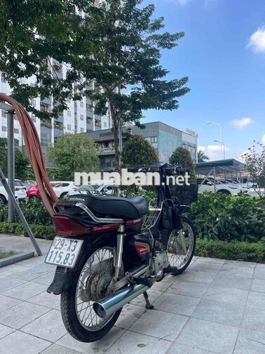 HONDA DREAM MÀU NHO