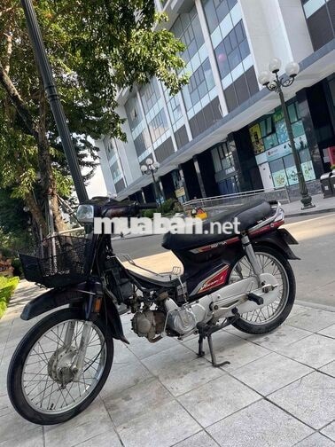 HONDA DREAM MÀU NHO