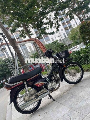 HONDA DREAM MÀU NHO