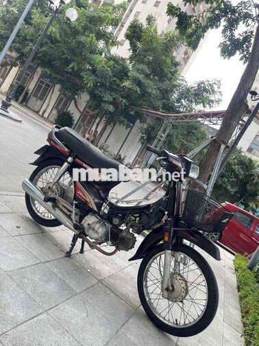 HONDA DREAM MÀU NHO