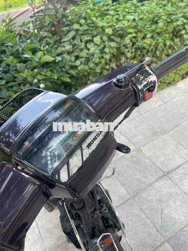 HONDA DREAM MÀU NHO