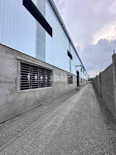 Cho thuê kho xưởng 2.400m2 đường Số 2 KCN Tân Tạo, Giá 4.8 usd/m2