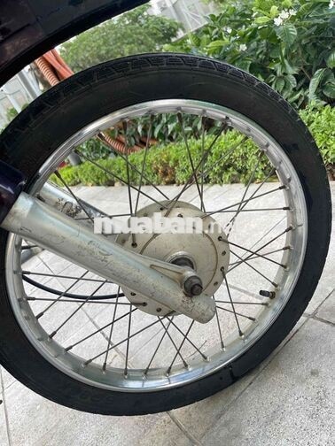 HONDA DREAM MÀU NHO