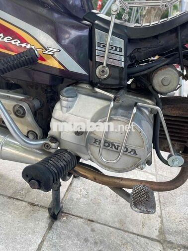 HONDA DREAM MÀU NHO