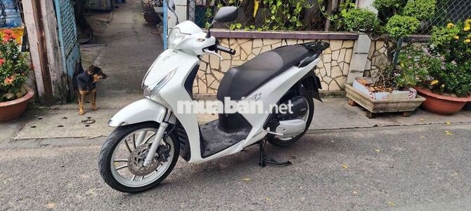 HONDA SH 150 TRẮNG nguyên rin 