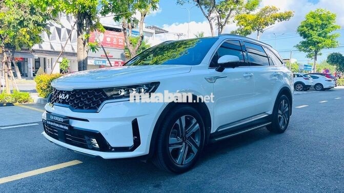 Kia Sorento 2023 2.2D Signature Trắng