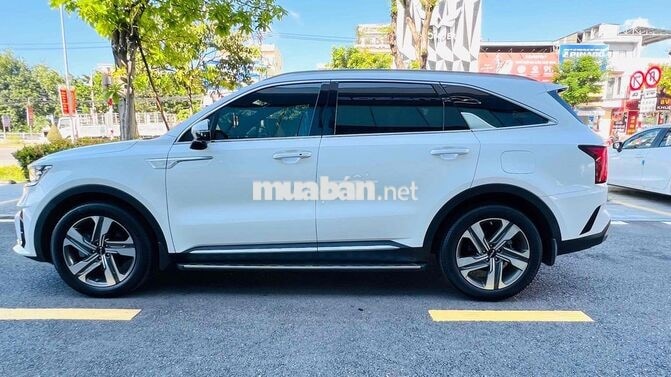 Kia Sorento 2023 2.2D Signature Trắng