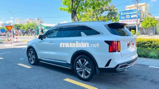 Kia Sorento 2023 2.2D Signature Trắng
