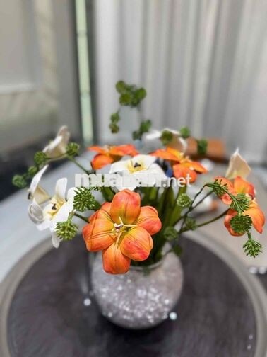 216 ✨ 🏡 CHO THUÊ NHÀ 3 TẦNG KIỆT Ô TÔ – ĐƯỜNG LÊ ĐỘ,