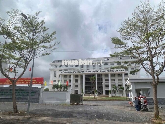🔥BÁN ĐẤT LÀNG ĐẠI HỌC NGUYỄN BÌNH NHÀ BÈ – NGANG 5M X 19M 