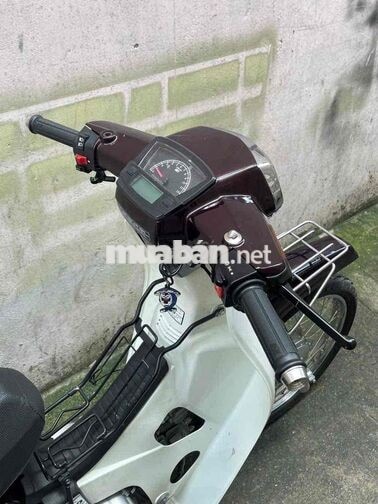 HONDA DREAM MÀU NÂU