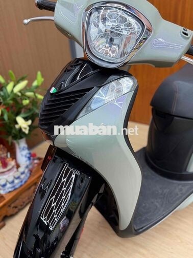 BÁN SHMO 2019 XI MĂNG BSTP 9CHỦ CÓ GÓP