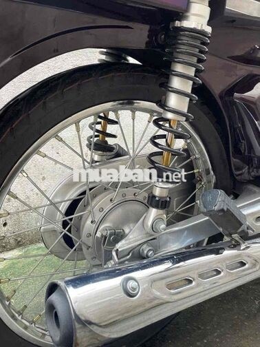 HONDA DREAM MÀU NÂU
