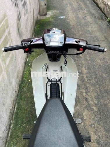 HONDA DREAM MÀU NÂU