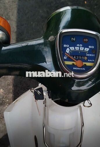  CUB 50 đời 1981 XANH