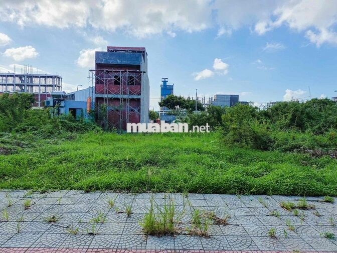 🌿 SIÊU PHẨM – ĐẤT KẸP VỆT CÂY XANH SIÊU HIẾM 🌿