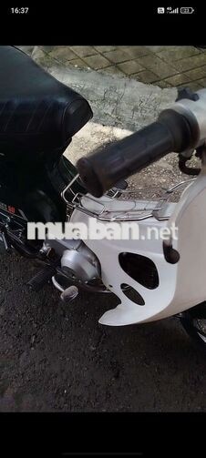  CUB 50 đời 1981 XANH