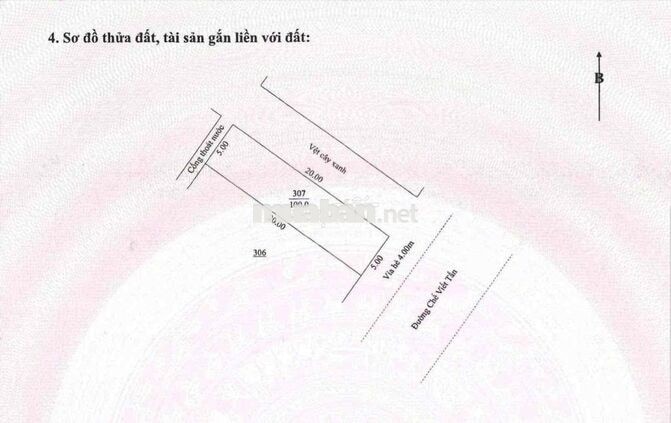 🌿 SIÊU PHẨM – ĐẤT KẸP VỆT CÂY XANH SIÊU HIẾM 🌿