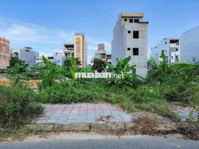 🌿 SIÊU PHẨM – ĐẤT KẸP VỆT CÂY XANH SIÊU HIẾM 🌿
