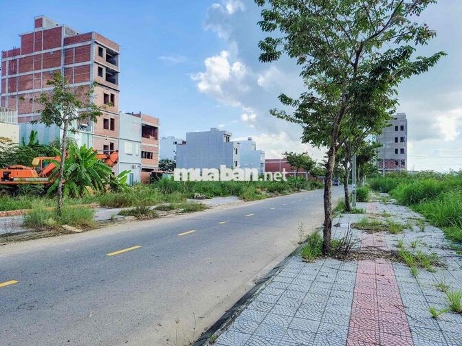 🌿 SIÊU PHẨM – ĐẤT KẸP VỆT CÂY XANH SIÊU HIẾM 🌿