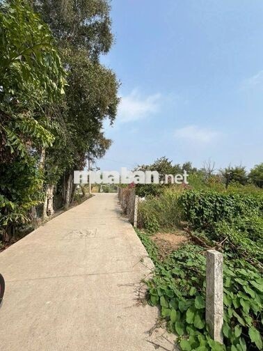 BÁN ĐẤT Ở 89 M² MỸ LỘC – CẦN GIUỘC, NGANG 4 M, ĐƯỜNG BÊ TÔNG
