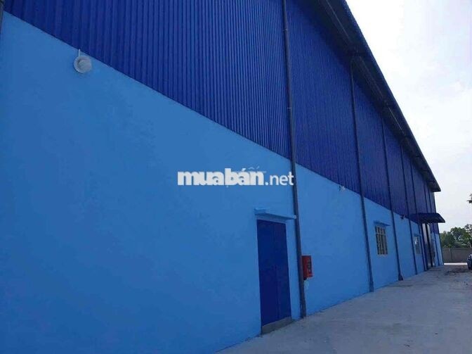 CHO THUÊ KHO LỚN 16.000m² – MỸ YÊN, LONG AN PCCC Tự Động
