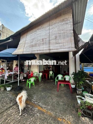 🔥 BÁN ĐẤT TRUNG TÂM PHƯỜNG BÌNH LỘC – VỊ TRÍ KINH DOANH ĐẮC ĐỊA, CÓ SẴ