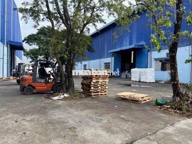 CHO THUÊ KHO LỚN 16.000m² – MỸ YÊN, LONG AN PCCC Tự Động