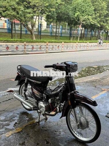 Honda Super Dream 2012 màu Tím