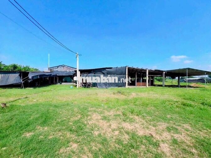Kho xưởng mặt tiền Tân Hiệp 9-Hóc Môn.Dt 4000m2 có 1000m2 sàn. 50tr