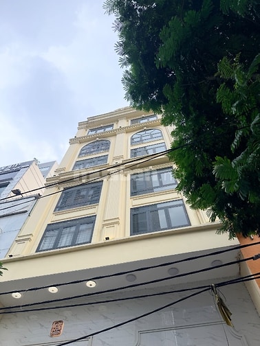 Cho thuê toà nhà MT Nguyễn Cư Trinh Q1 - 4,7m x 28m - thang máy