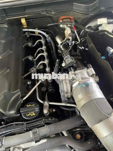 Ford Ranger Wildtrak 3.2 Cam