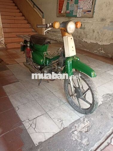 Honda Cub 81 50 còn tin là còn xe 