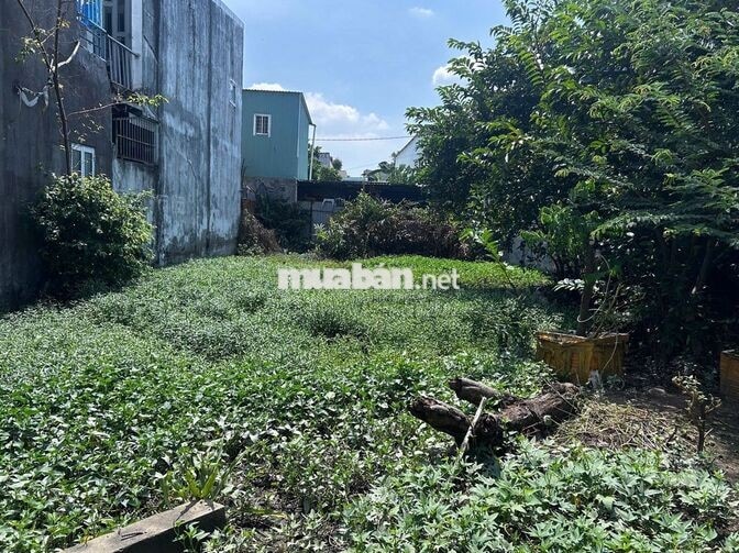 Chính chủ bán gấp đất thổ cư hẻm 2771 Huỳnh Tấn Phát, xã Nhà Bè