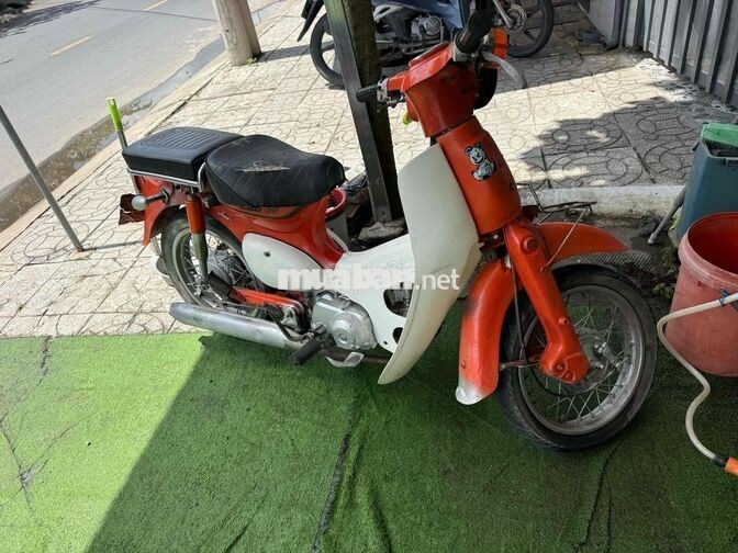 Honda Cub 50 màu Cam trắng