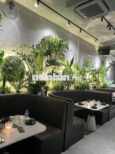 MT Cafe - nhà hàng 60 Trần Hưng Đạo, Q1. Dt: 8x20m, Kc: trệt 1 lầu