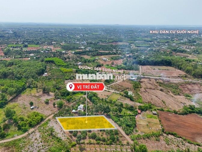 Bán 2 sào vườn Bưởi mặt tiền đường nhựa gần đường 56B, Suối Nghệ