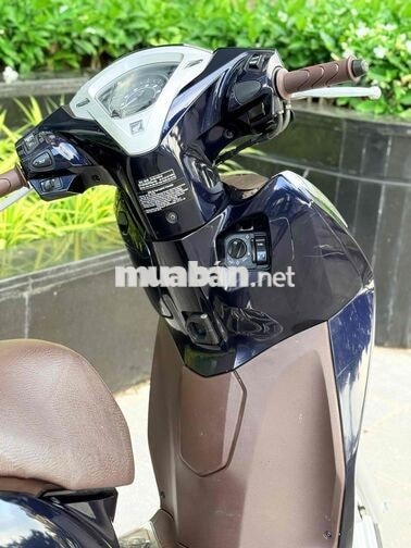 Honda Lead 2020 Premium đèn led cao cấp 29B2