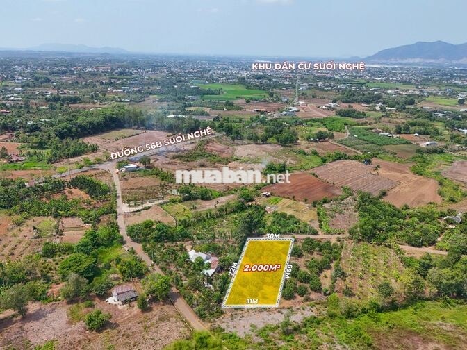 Bán 2 sào vườn Bưởi mặt tiền đường nhựa gần đường 56B, Suối Nghệ